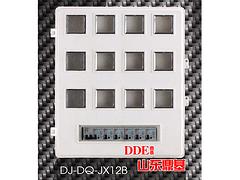 山东鼎基电气全省知名的DJ-DQ-JX12B上下SMC电表箱――电表箱价格