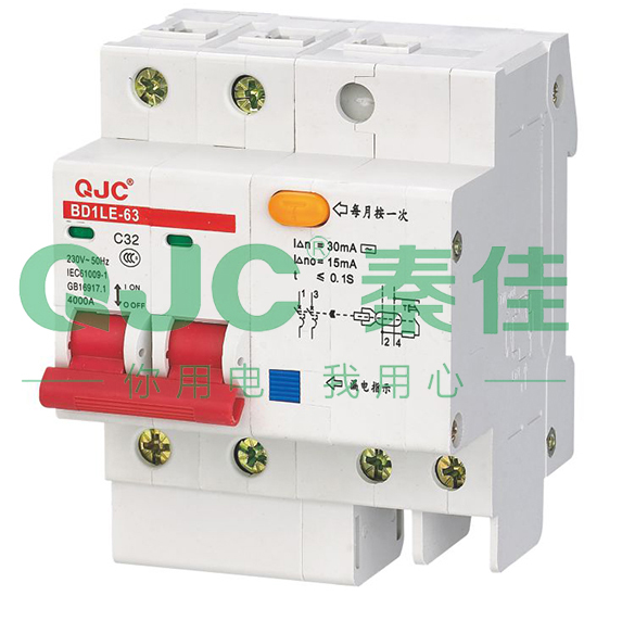 BD1LE-63系列漏电断路器（DZ47LE-63  C45LE-63）