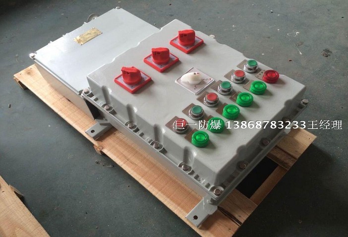BXD51-T 防爆动力配电箱 非标设计箱 防爆箱 IIB