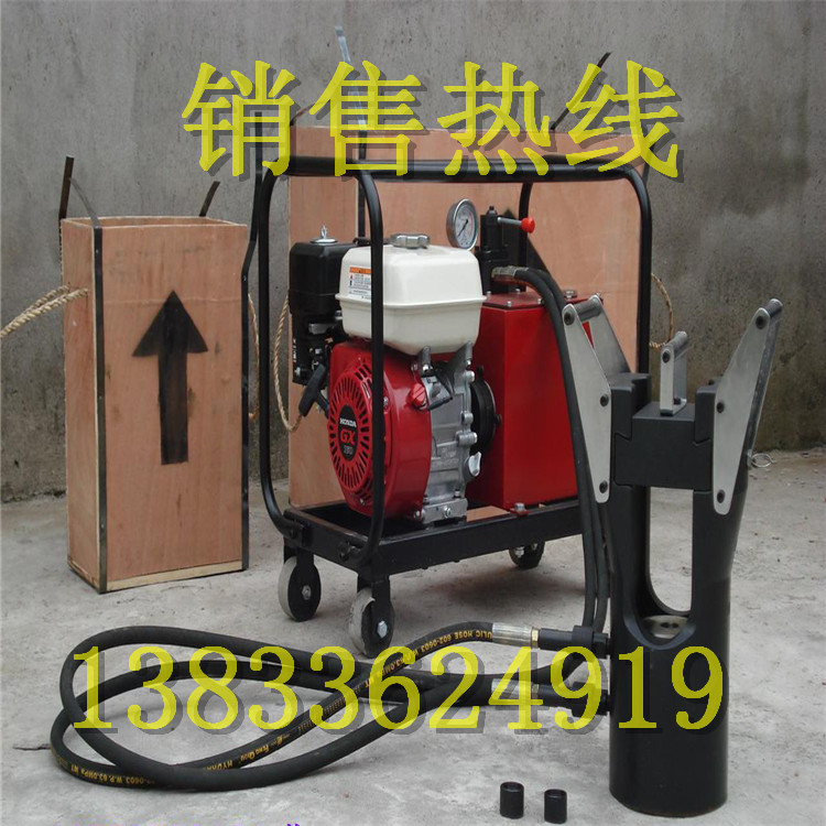 专业220V双向电动泵?超高压电动油泵?轻型电动液压泵站。