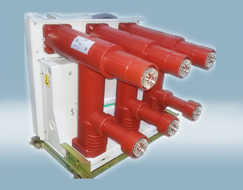 VZF(R)-12中置固封式真空负荷开关-熔断器组