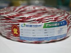 RVS消防线铜芯双绞线|神州永立电线电缆_声誉好的RVS铜芯双绞线公司