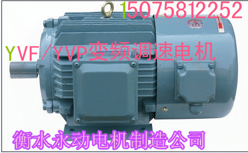 厂家直销国标YVF/YVP变频调速三相异步电机