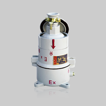 BCX53系列防爆插销（ⅡB）