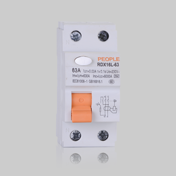 RDX16L-63 系列剩余电流动作断路器